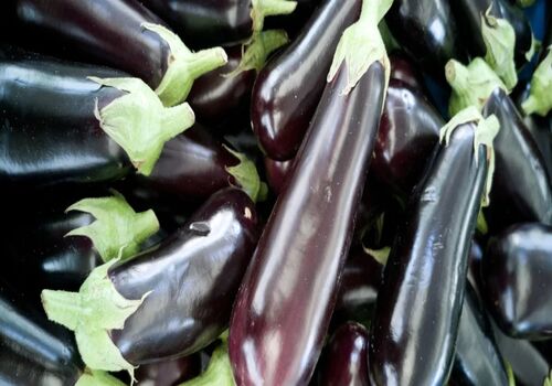 کلاهک بادمجان معجزه ای برای سلامت بدن + طبع و نحوه مصرف