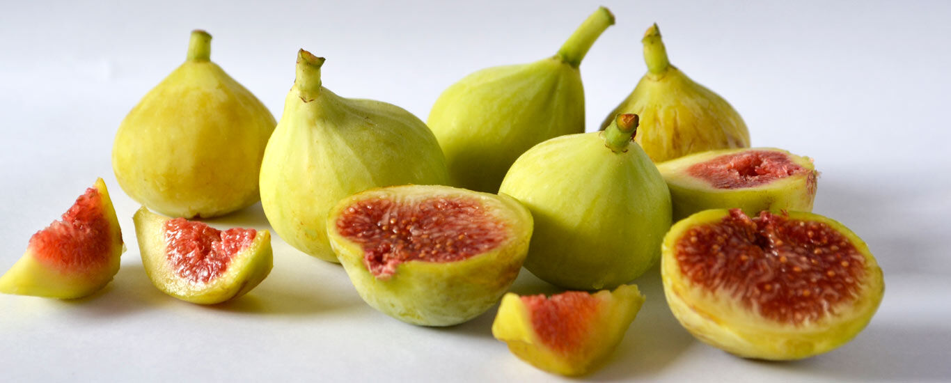 همه چیز در مورد انجیر و خواص آن + طبع و ارزش غذایی