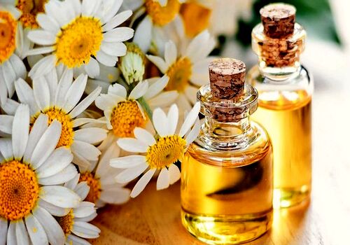 با روغن بابونه به موهات جون بده + نحوه مصرف 
