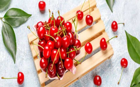 همه چیز در مورد آلبالو؛ خواص، کالری، طبع و ارزش غذایی آن
