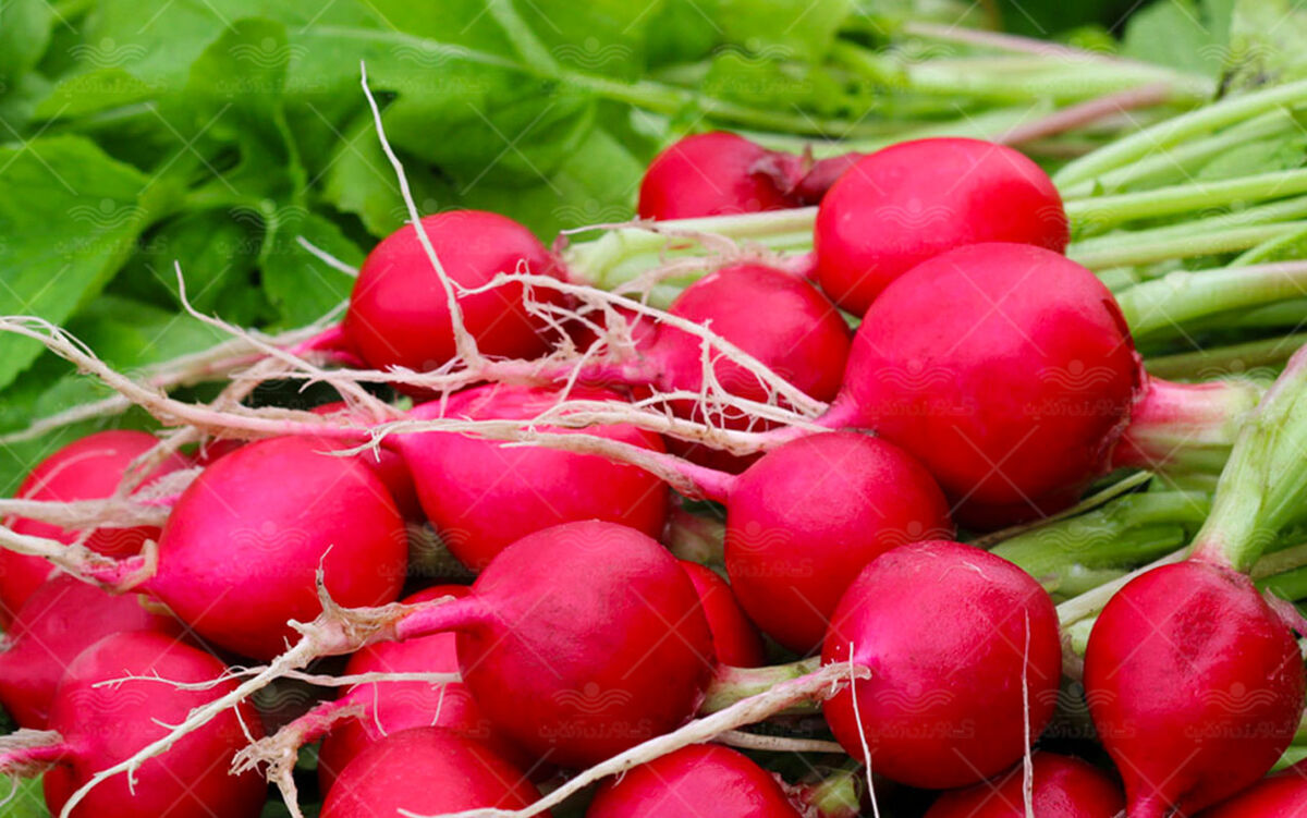 تربچه برای پوست