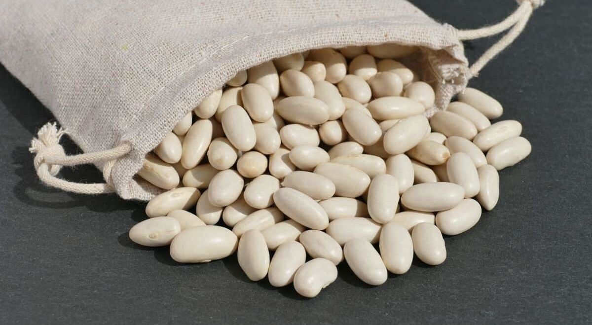خواص لوبیا سفید؛ مطمئن ترین و ارزان ترین جایگزین برای گوشت 