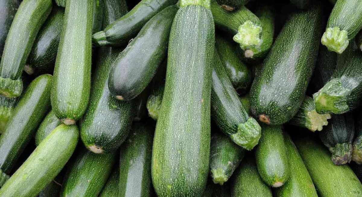 کدو سبز برای کبد چرب