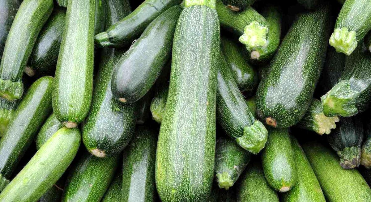 کدو سبز برای کبد چرب