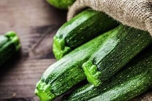 آشنایی با انواع کدو و موارد مصرف آن ها + عکس