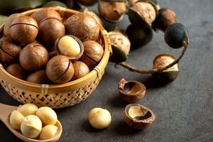مهم ترین خواص فندق برای زنان و مردان از نظر طب سنتی