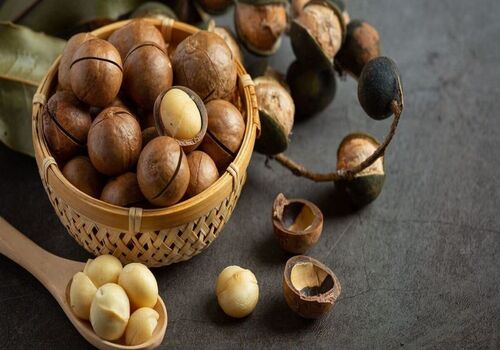 مهم ترین خواص فندق برای زنان و مردان از نظر طب سنتی
