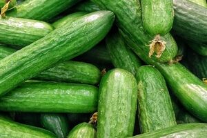 با انواع خیار و تفاوت های آن ها آشنا شوید