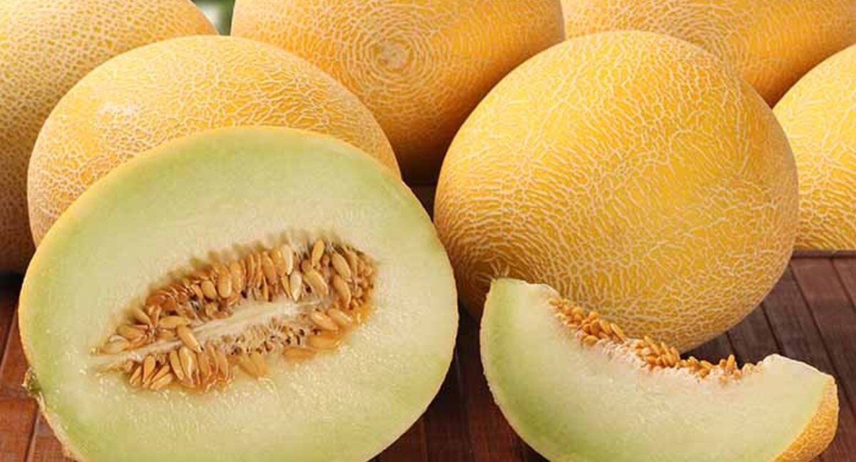 ملون برای پوست 