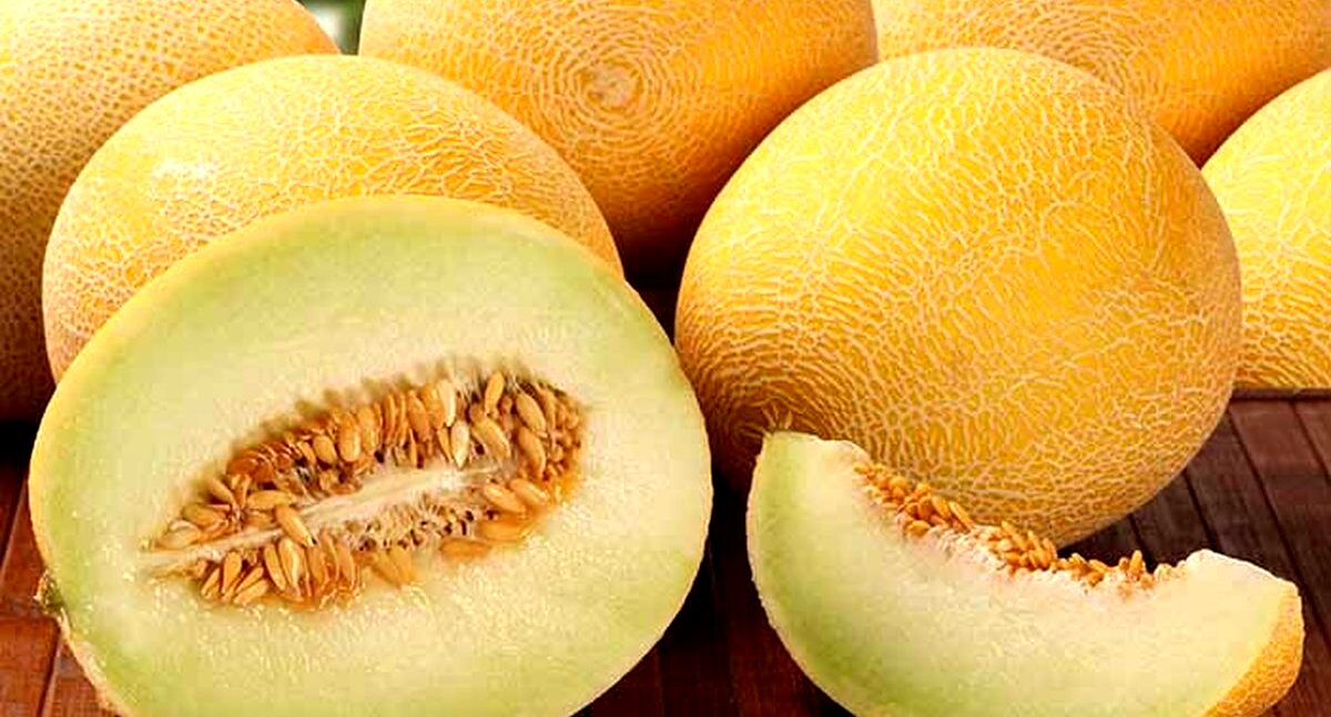 ملون برای پوست 