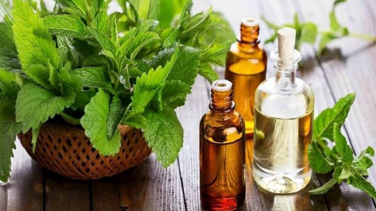 عرق نعنا خانگی