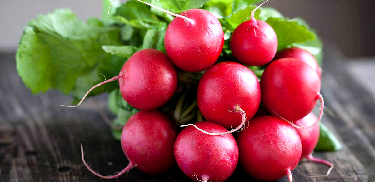 تربچه برای قلب
