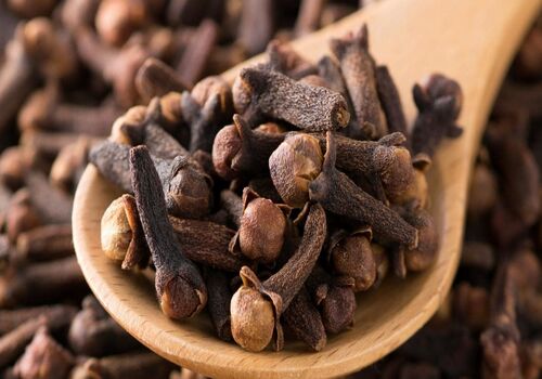 دم کرده میخک؛ چربی سوز ترین دمنوش برای لاغری + نحوه تهیه 