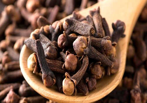 دم کرده میخک؛ چربی سوز ترین دمنوش برای لاغری + نحوه تهیه 