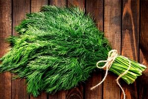 آشنایی با خواص بی نظیر شوید تازه و خشک + طبع و ارزش غذایی