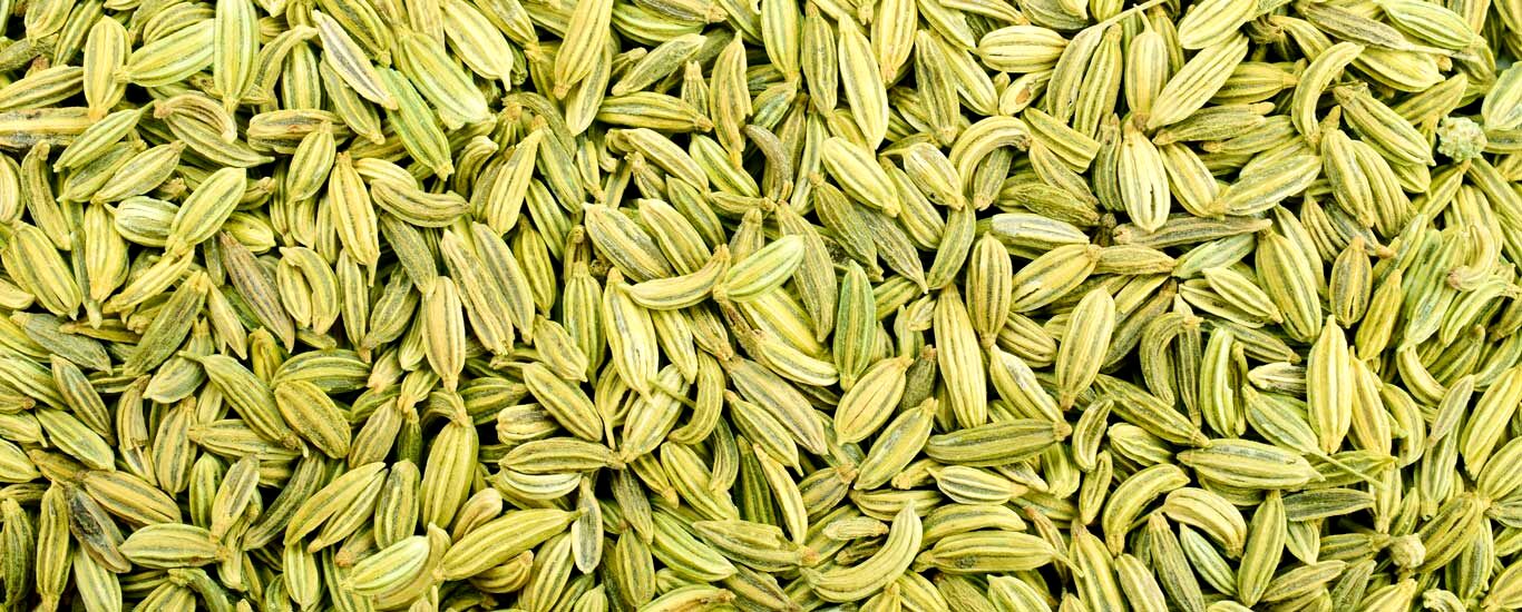 معرفی و خواص درمانی و دارویی رازیانه + طبع و موارد منع مصرف 