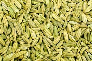 معرفی و خواص درمانی و دارویی رازیانه + طبع و موارد منع مصرف 