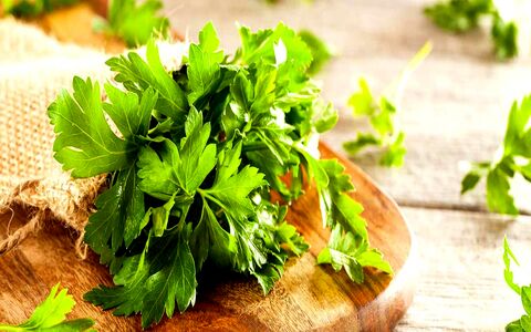 خواص جعفری برای سلامت بدن + طبع و ارزش غذایی 