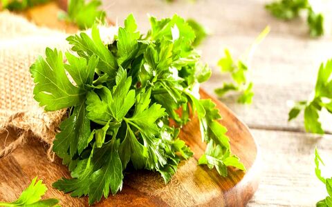 خواص جعفری برای سلامت بدن + طبع و ارزش غذایی 