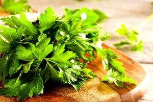 خواص جعفری برای سلامت بدن + طبع و ارزش غذایی 