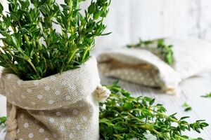 همه چیز درباره مرزه و خواص آن + طبع و شیوه مصرف