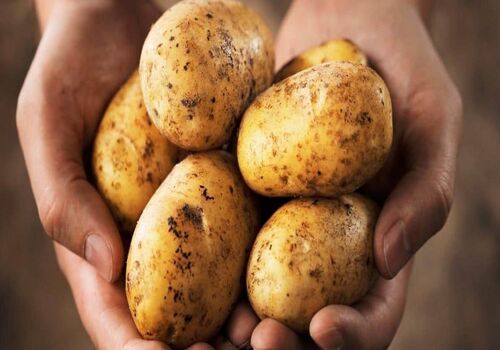 معجزه سیب زمینی برای تقویت پوست و مو + معرفی ماسک