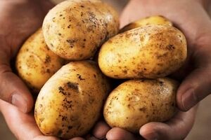 معجزه سیب زمینی برای تقویت پوست و مو + معرفی ماسک