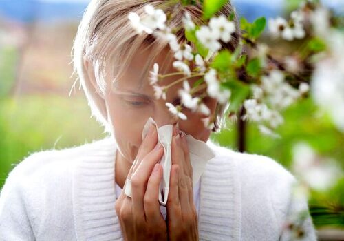 ۷ دمنوش گیاهی برای فرار از آلرژی فصلی در بهار + توضیحات 