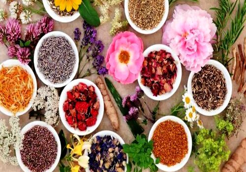 گرما کلافه ات کرده؟ این گیاهان دارویی علاج مشکلت هستن 