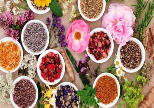 گرما کلافه ات کرده؟ این گیاهان دارویی علاج مشکلت هستن 