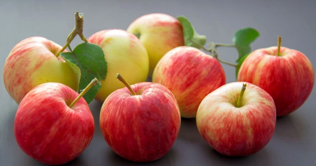 سیب رو شب بخوریم یا صبح؟ | بهترین زمان برای خوردن سیب