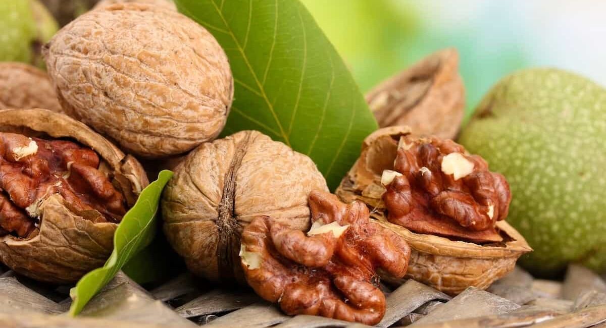 گردو قبل از خواب