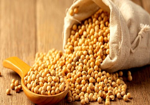 تضمین همیشگی سالم موندن پوست با مصرف سویا 
