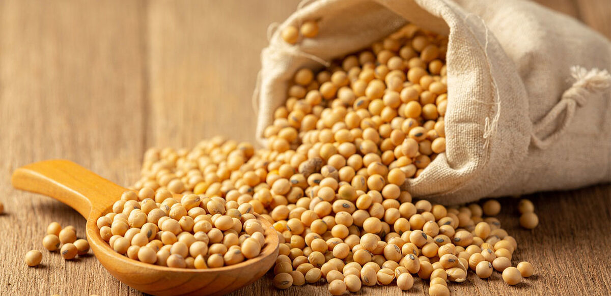 سویا برای پوست 