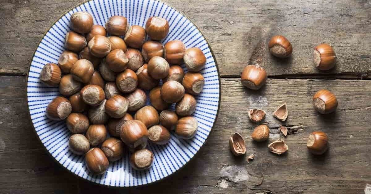 همه چیز درباره فندق و خواص آن + طبع و ارزش غذایی