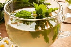 همه خواص دمنوش گزنه + طرز تهیه 