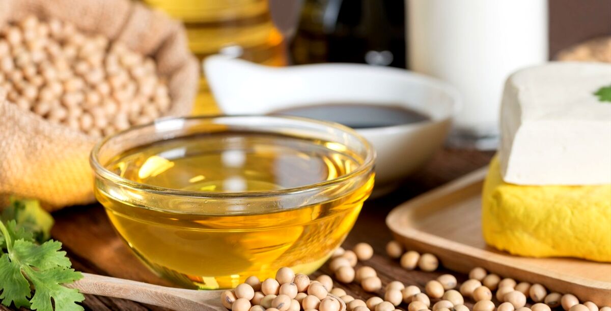 روغن سویا