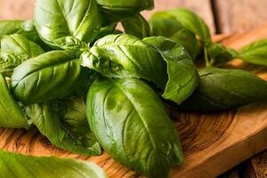 آشنایی کامل با ریحان؛ خواص و مضرات آن + شیوه مصرف 