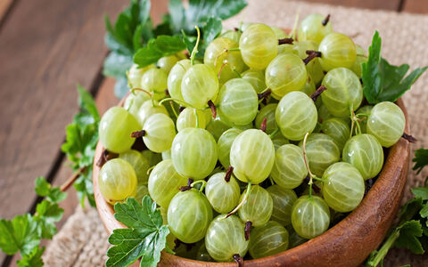 آشنایی با خواص آمله برای سلامت بدن + طبع 