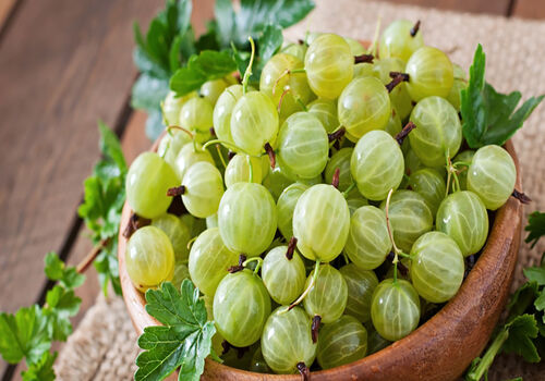 آشنایی با خواص آمله برای سلامت بدن + طبع 