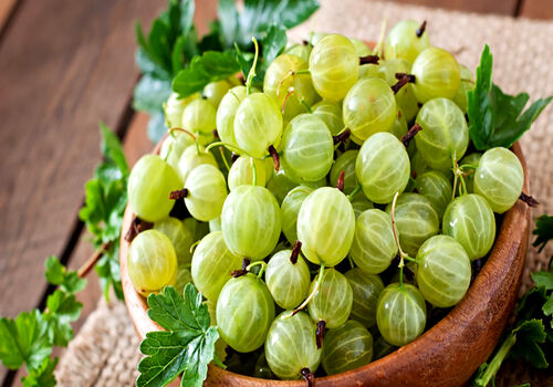 آشنایی با خواص آمله برای سلامت بدن + طبع 
