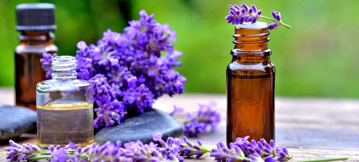 روغن اسطوخودوس برای نیش حشرات