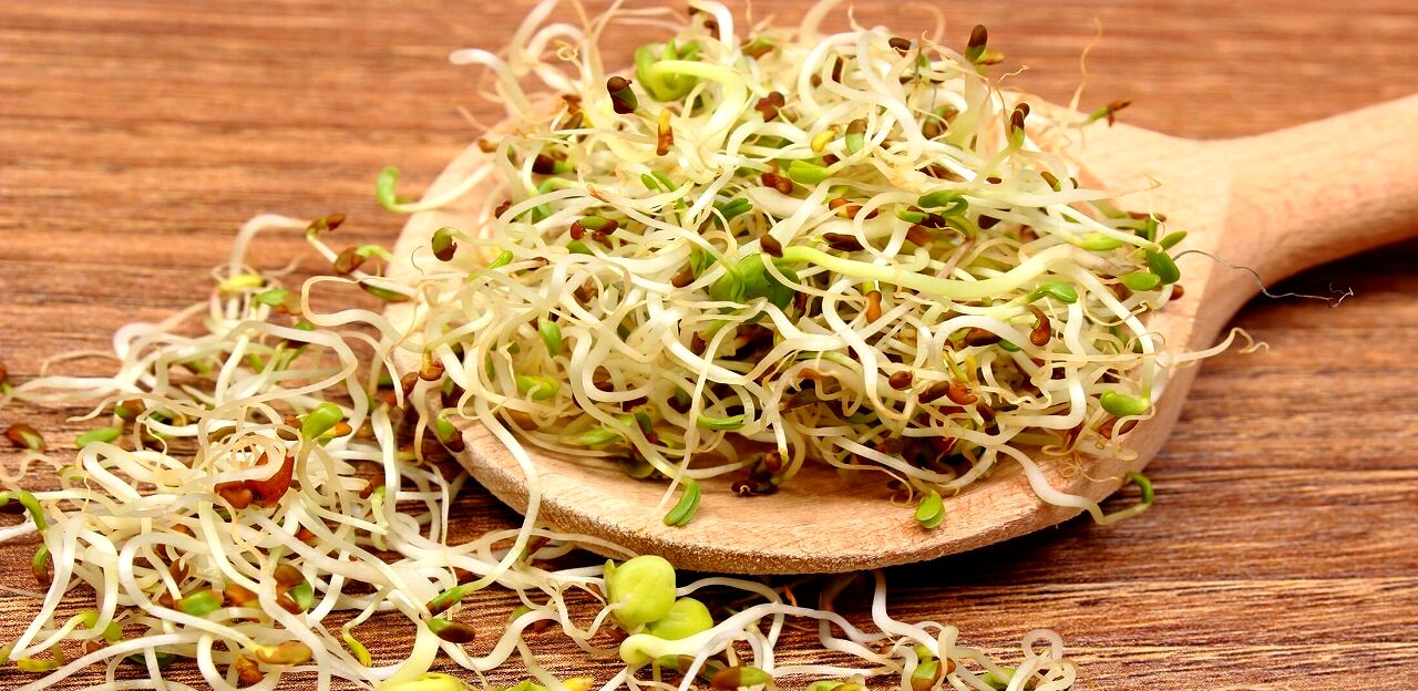 جوانه شبدر؛ کامل ترین منبع برای تامین مواد معدنی
