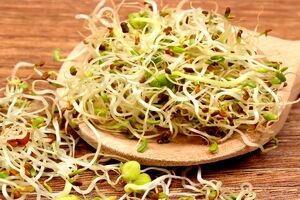 جوانه شبدر؛ کامل ترین منبع برای تامین مواد معدنی