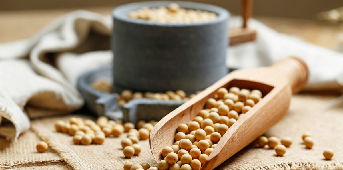 مضرات سویا