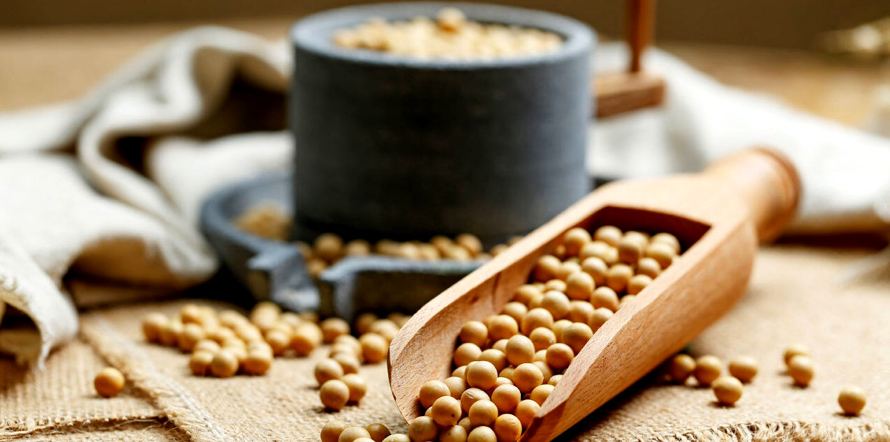 مصرف سویا برای این دسته افراد ممنوع است
