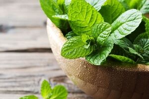 همه چیز در مورد پونه؛ از خواص دارویی تا هشدارهای مصرف + طبع و کالری