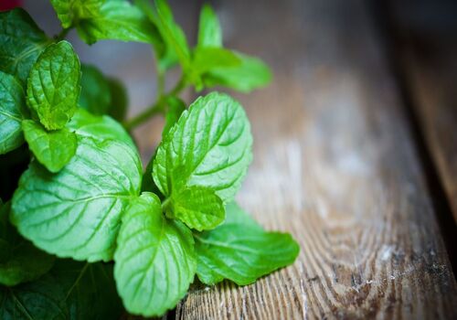 ماسک نعنا برای انواع پوست + نحوه تهیه 