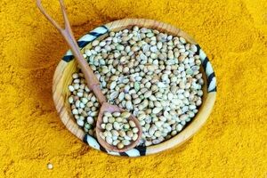 فواید ترنجبین برای زردی نوزاد + روش مصرف 