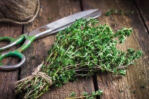 دمنوش آویشن برای پاکسازی ریه + نحوه مصرف